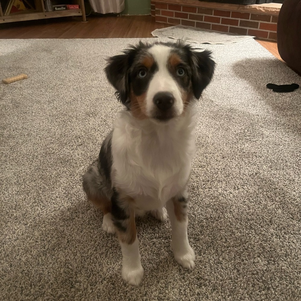 Hi! My name is Carrie